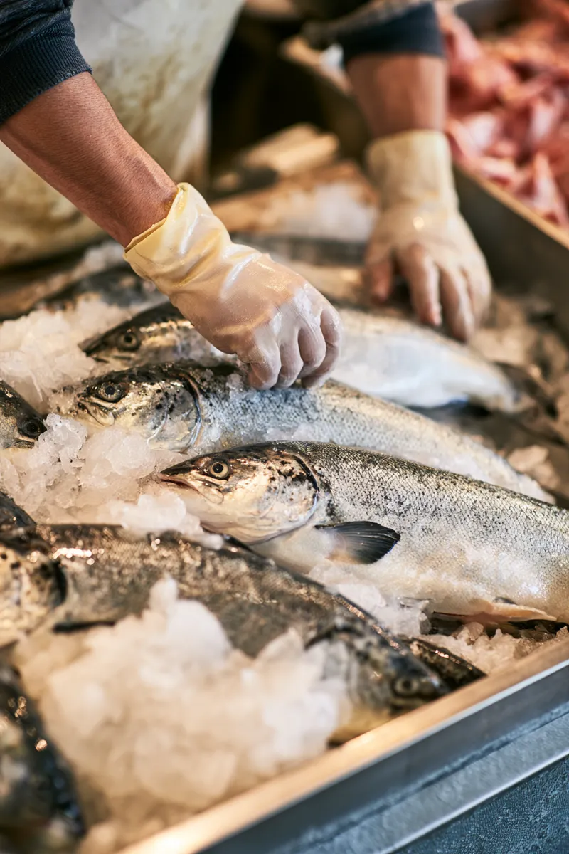 Fishmonger laying out the morning catch — every kind of honest income counts when it is documented